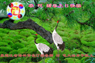 Published on 5/12/2008 ½󷨵ף編ִʦٳһ