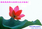 Published on 5/12/2008 ½󷨵ף編ִʦٳ