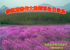 Published on 5/12/2008 ½󷨵ף編ִʦٳ