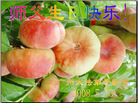 Published on 5/12/2008 ½󷨵ף編ִʦٳ