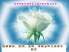 Published on 5/12/2008 ½󷨵ף編ִʦٳ