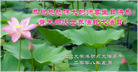 Published on 5/12/2008 ½󷨵ף編ִʦٳ