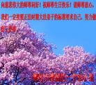 Published on 5/13/2008 ½󷨵ף編ִʦٳ