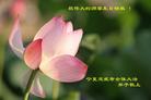 Published on 5/13/2008 ½󷨵ף編ִʦٳ