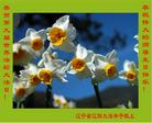 Published on 5/13/2008 ½󷨵ף編ִʦٳߣ