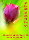 Published on 5/13/2008 ½󷨵ף編ִʦٳ壩