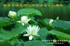 Published on 5/13/2008 ½󷨵ף編ִʦٳ壩