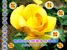 Published on 5/13/2008 ½󷨵ף編ִʦٳʮ