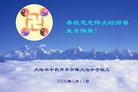 Published on 5/14/2008 大陆大法弟子祝贺世界法轮大法日暨师尊寿辰（十九）