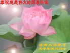 Published on 5/14/2008 大陆大法弟子祝贺世界法轮大法日暨师尊寿辰（十九）