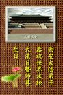 Published on 5/14/2008 大陆大法弟子祝贺世界法轮大法日暨师尊寿辰（十九）