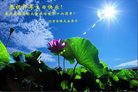 Published on 5/14/2008 大陆大法弟子祝贺世界法轮大法日暨师尊寿辰（十九）