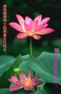 Published on 5/14/2008 大陆大法弟子祝贺世界法轮大法日暨师尊寿辰（十九）