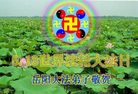 Published on 5/14/2008 大陆大法弟子祝贺世界法轮大法日暨师尊寿辰（二十）