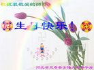 Published on 5/14/2008 大陆大法弟子祝贺世界法轮大法日暨师尊寿辰（二十）