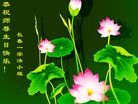 Published on 5/14/2008 大陆大法弟子祝贺世界法轮大法日暨师尊寿辰（二十）