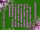 Published on 5/14/2008 大陆大法弟子祝贺世界法轮大法日暨师尊寿辰（二十）