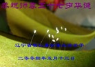 Published on 5/14/2008 大陆大法弟子祝贺世界法轮大法日暨师尊寿辰（十八）