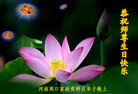 Published on 5/13/2008 ½󷨵ף編ִʦٳʮ