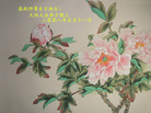 Published on 5/13/2008 大陆大法弟子祝贺世界法轮大法日暨师尊寿辰（十三）