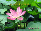 Published on 5/13/2008 ½󷨵ף編ִʦٳʮ