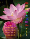 Published on 5/14/2008 大陆大法弟子祝贺世界法轮大法日暨师尊寿辰（十九）