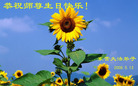 Published on 5/14/2008 大陆大法弟子祝贺世界法轮大法日暨师尊寿辰（十九）