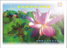 Published on 5/14/2008 大陆大法弟子祝贺世界法轮大法日暨师尊寿辰（十九）