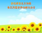 Published on 5/14/2008 大陆大法弟子祝贺世界法轮大法日暨师尊寿辰（十九）