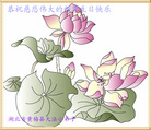 Published on 5/14/2008 大陆大法弟子祝贺世界法轮大法日暨师尊寿辰（十九）