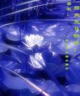 Published on 5/14/2008 大陆大法弟子祝贺世界法轮大法日暨师尊寿辰（二十）