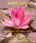 Published on 5/14/2008 大陆大法弟子祝贺世界法轮大法日暨师尊寿辰（二十）
