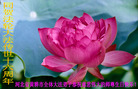 Published on 5/14/2008 大陆大法弟子祝贺世界法轮大法日暨师尊寿辰（二十）
