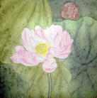 Published on 5/14/2008 大陆大法弟子祝贺世界法轮大法日暨师尊寿辰（二十一）