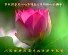 Published on 5/14/2008 大陆大法弟子祝贺世界法轮大法日暨师尊寿辰（二十一）