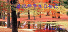 Published on 5/14/2008 大陆大法弟子祝贺世界法轮大法日暨师尊寿辰（二十一）