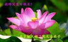 Published on 5/14/2008 大陆大法弟子祝贺世界法轮大法日暨师尊寿辰（二十一）