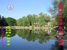 Published on 5/14/2008 大陆大法弟子祝贺世界法轮大法日暨师尊寿辰（二十一）