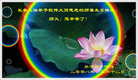 Published on 5/14/2008 大陆大法弟子祝贺世界法轮大法日暨师尊寿辰（二十二）