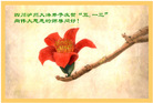 Published on 5/14/2008 大陆大法弟子祝贺世界法轮大法日暨师尊寿辰（二十二）