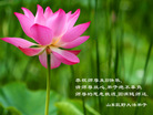 Published on 5/14/2008 大陆大法弟子祝贺世界法轮大法日暨师尊寿辰（二十二）