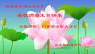 Published on 5/14/2008 大陆大法弟子祝贺世界法轮大法日暨师尊寿辰（二十二）