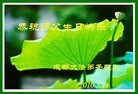 Published on 5/13/2010 ֹ,½ϴ󷨵ף5.13編ִգ120أ - ִ - minghui.org