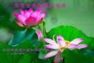 Published on 5/14/2010 法轮功,大陆大法弟子贺师尊华诞暨世界法轮大法日（十四，280地） - 法轮大法明慧网 - minghui.org