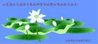 Published on 5/14/2010 法轮功,大陆大法弟子贺师尊华诞暨世界法轮大法日（十四，280地） - 法轮大法明慧网 - minghui.org