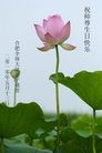 Published on 5/14/2010 法轮功,大陆大法弟子贺师尊华诞暨世界法轮大法日（十二，270地） - 法轮大法明慧网 - minghui.org