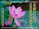 Published on 5/14/2010 法轮功,大陆大法弟子贺师尊华诞暨世界法轮大法日（十二，270地） - 法轮大法明慧网 - minghui.org
