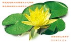 Published on 5/13/2010 ֹ,½󷨵Ӻʦ𻪵編ִգ150أ - ִ - minghui.org