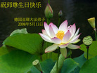 Published on 5/13/2008 海外大法弟子祝贺世界法轮大法日暨师尊寿辰（一）