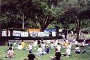 Published on 5/17/2000 ѧԱڰLake Eola԰ʾ